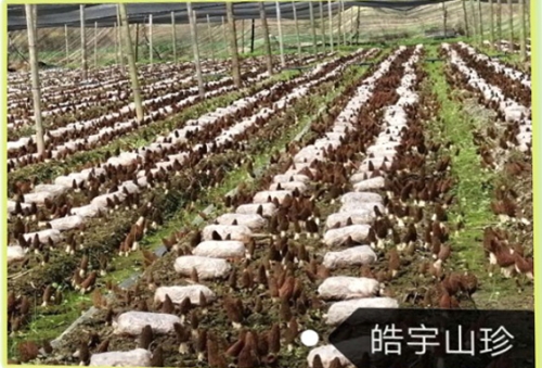 &#29233;&#28216;&#25103;&#23448;&#26041;&#32593;&#31449;&#45;&#29233;&#28216;&#25103;&#20840;&#31449;&#65;&#80;&#80;&#40;&#97;&#121;&#120;&#41;&#20013;&#22269;&#23448;&#26041;&#32593;&#31449;