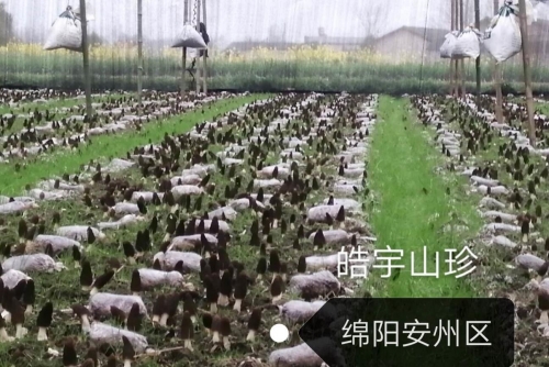 &#29233;&#28216;&#25103;&#23448;&#26041;&#32593;&#31449;&#45;&#29233;&#28216;&#25103;&#20840;&#31449;&#65;&#80;&#80;&#40;&#97;&#121;&#120;&#41;&#20013;&#22269;&#23448;&#26041;&#32593;&#31449;