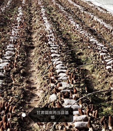 &#29233;&#28216;&#25103;&#23448;&#26041;&#32593;&#31449;&#45;&#29233;&#28216;&#25103;&#20840;&#31449;&#65;&#80;&#80;&#40;&#97;&#121;&#120;&#41;&#20013;&#22269;&#23448;&#26041;&#32593;&#31449;