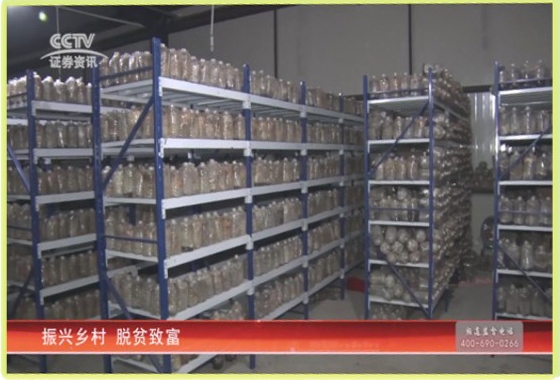 &#29233;&#28216;&#25103;&#23448;&#26041;&#32593;&#31449;&#45;&#29233;&#28216;&#25103;&#20840;&#31449;&#65;&#80;&#80;&#40;&#97;&#121;&#120;&#41;&#20013;&#22269;&#23448;&#26041;&#32593;&#31449;
