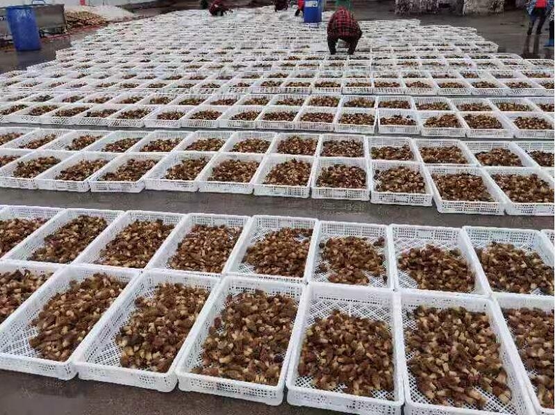 &#29233;&#28216;&#25103;&#23448;&#26041;&#32593;&#31449;&#45;&#29233;&#28216;&#25103;&#20840;&#31449;&#65;&#80;&#80;&#40;&#97;&#121;&#120;&#41;&#20013;&#22269;&#23448;&#26041;&#32593;&#31449;