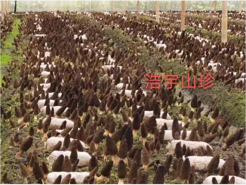 &#29233;&#28216;&#25103;&#23448;&#26041;&#32593;&#31449;&#45;&#29233;&#28216;&#25103;&#20840;&#31449;&#65;&#80;&#80;&#40;&#97;&#121;&#120;&#41;&#20013;&#22269;&#23448;&#26041;&#32593;&#31449;