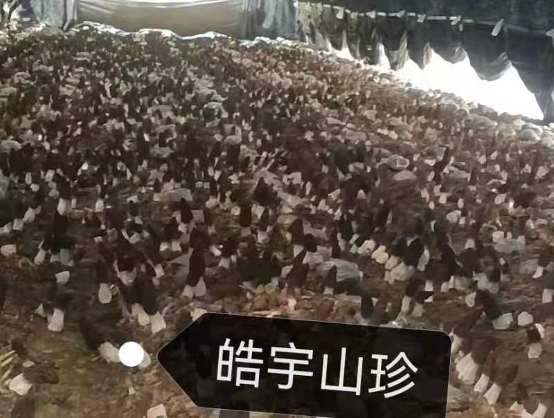 &#29233;&#28216;&#25103;&#23448;&#26041;&#32593;&#31449;&#45;&#29233;&#28216;&#25103;&#20840;&#31449;&#65;&#80;&#80;&#40;&#97;&#121;&#120;&#41;&#20013;&#22269;&#23448;&#26041;&#32593;&#31449;