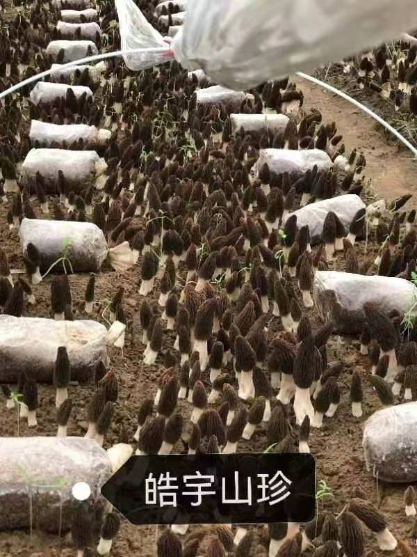 &#29233;&#28216;&#25103;&#23448;&#26041;&#32593;&#31449;&#45;&#29233;&#28216;&#25103;&#20840;&#31449;&#65;&#80;&#80;&#40;&#97;&#121;&#120;&#41;&#20013;&#22269;&#23448;&#26041;&#32593;&#31449;