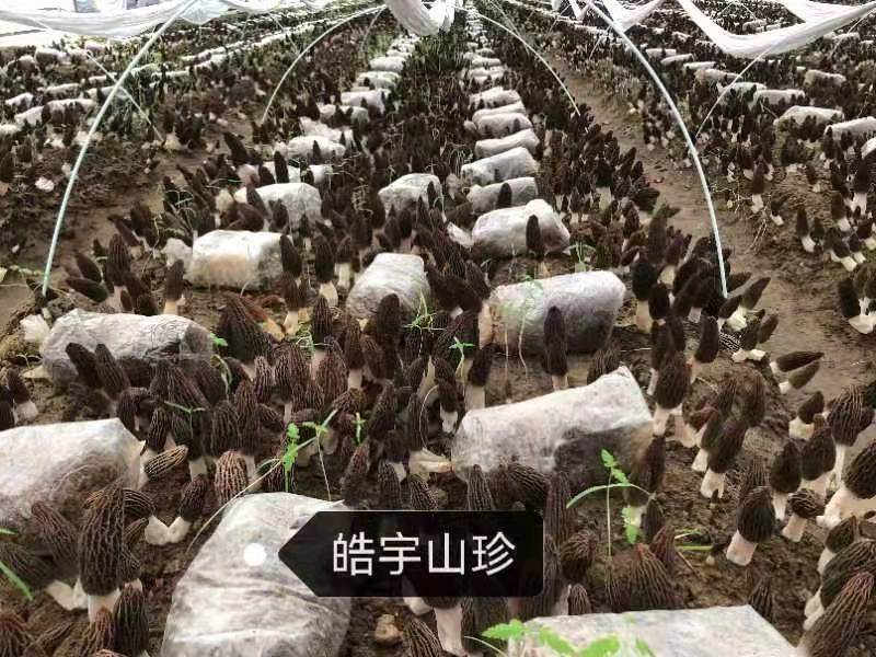 &#29233;&#28216;&#25103;&#23448;&#26041;&#32593;&#31449;&#45;&#29233;&#28216;&#25103;&#20840;&#31449;&#65;&#80;&#80;&#40;&#97;&#121;&#120;&#41;&#20013;&#22269;&#23448;&#26041;&#32593;&#31449;