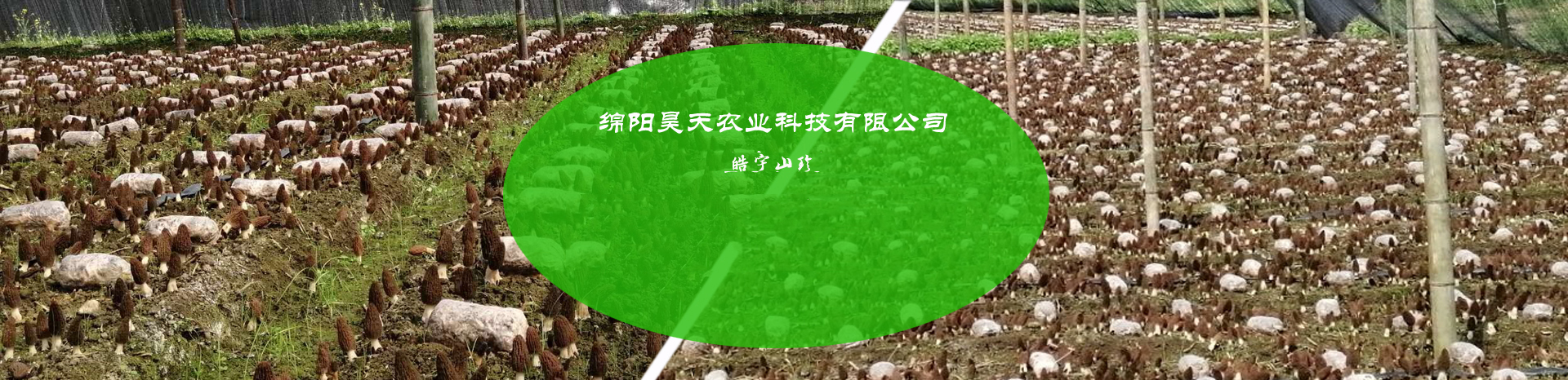 &#29233;&#28216;&#25103;&#23448;&#26041;&#32593;&#31449;&#45;&#29233;&#28216;&#25103;&#20840;&#31449;&#65;&#80;&#80;&#40;&#97;&#121;&#120;&#41;&#20013;&#22269;&#23448;&#26041;&#32593;&#31449;