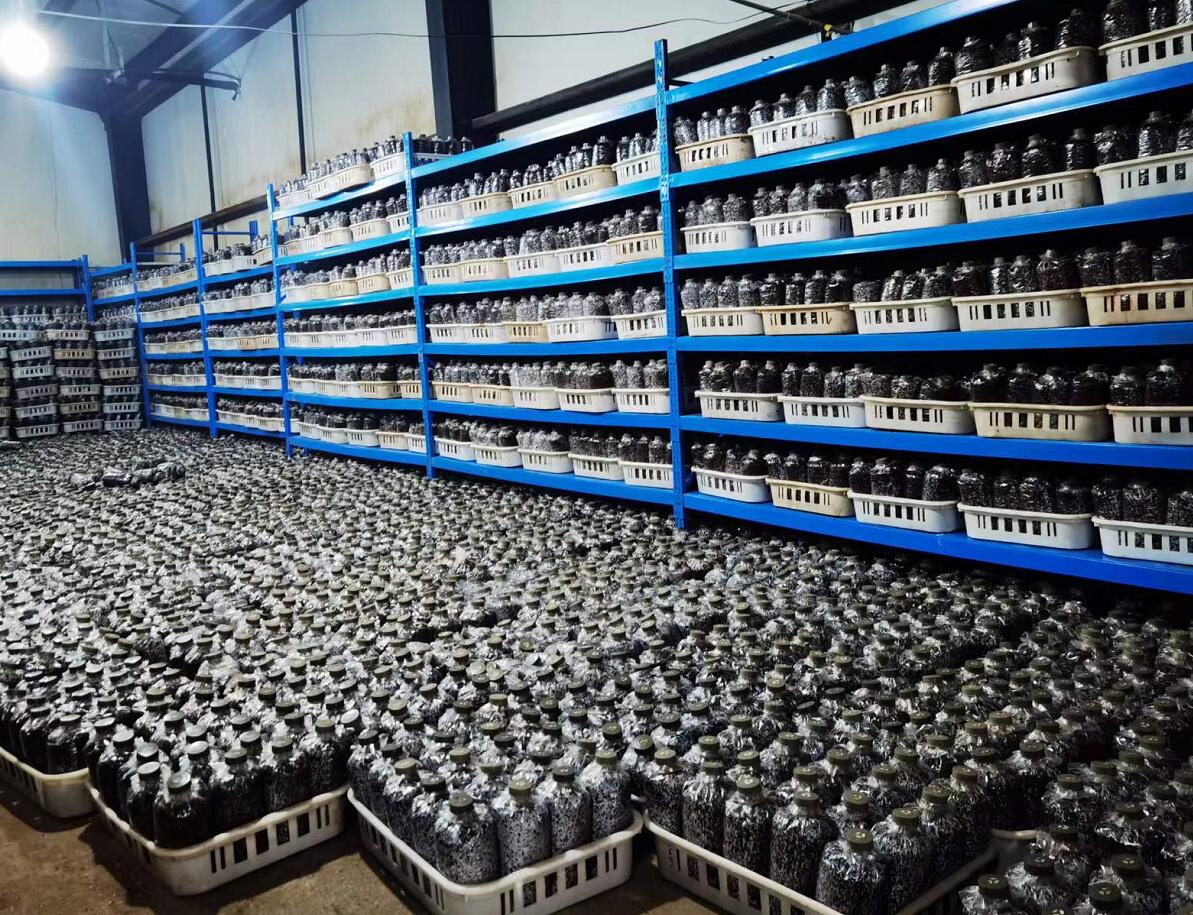 &#29233;&#28216;&#25103;&#23448;&#26041;&#32593;&#31449;&#45;&#29233;&#28216;&#25103;&#20840;&#31449;&#65;&#80;&#80;&#40;&#97;&#121;&#120;&#41;&#20013;&#22269;&#23448;&#26041;&#32593;&#31449;